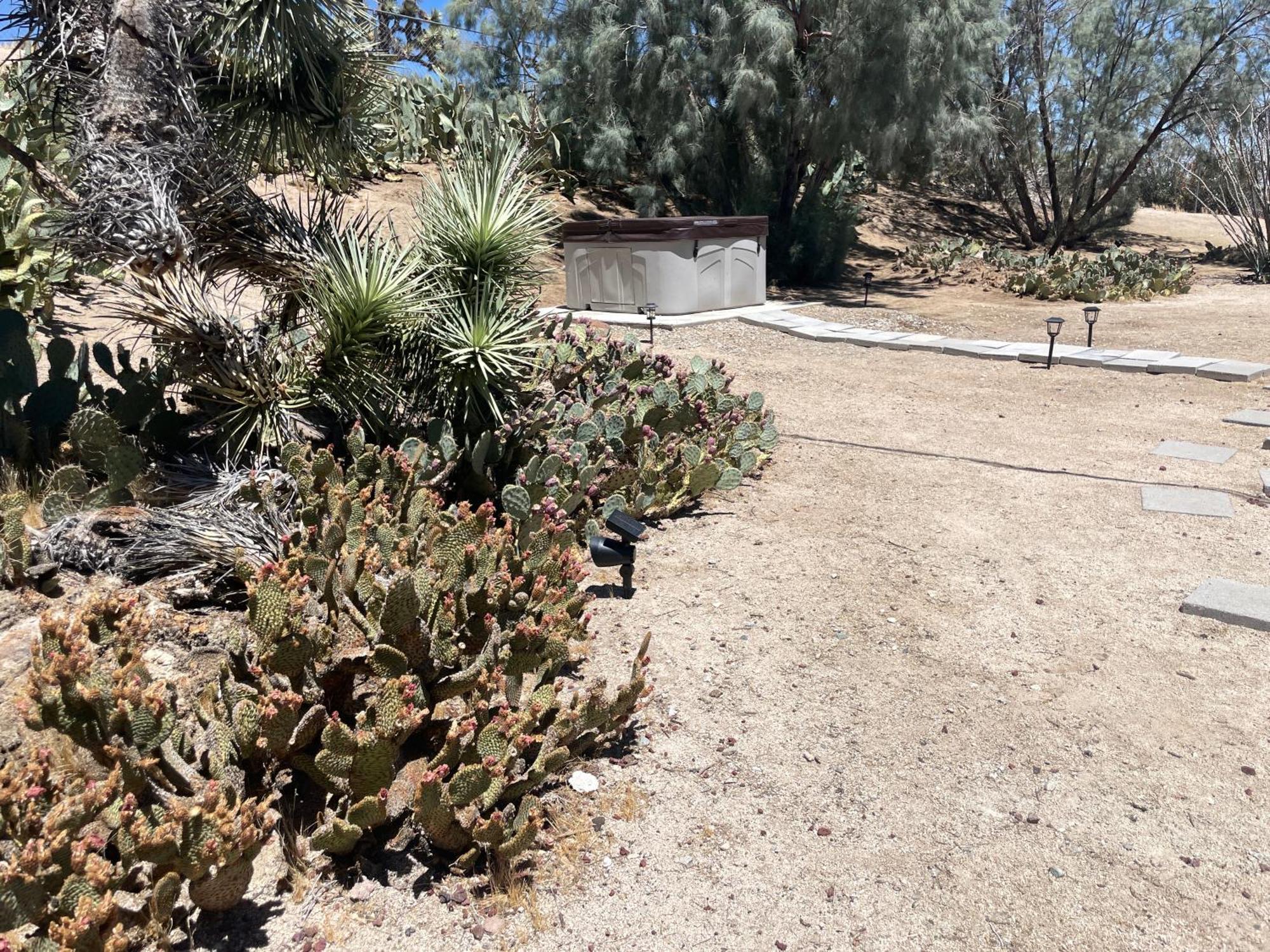 Mojave Desert Pied-A-Terre Yucca Valley Buitenkant foto